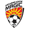 Broadmeadow Magic (W) logo