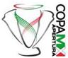 Copa Mexico