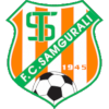 Samgurali Tskh logo