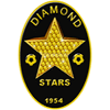 Diamond Stars logo