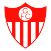 Guarany de Bage logo