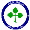 Grom Nowy Staw logo