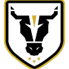 Bulls Academy (W) logo
