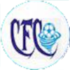 Cyclone FC (W) logo