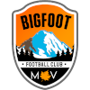 Bigfoot logo
